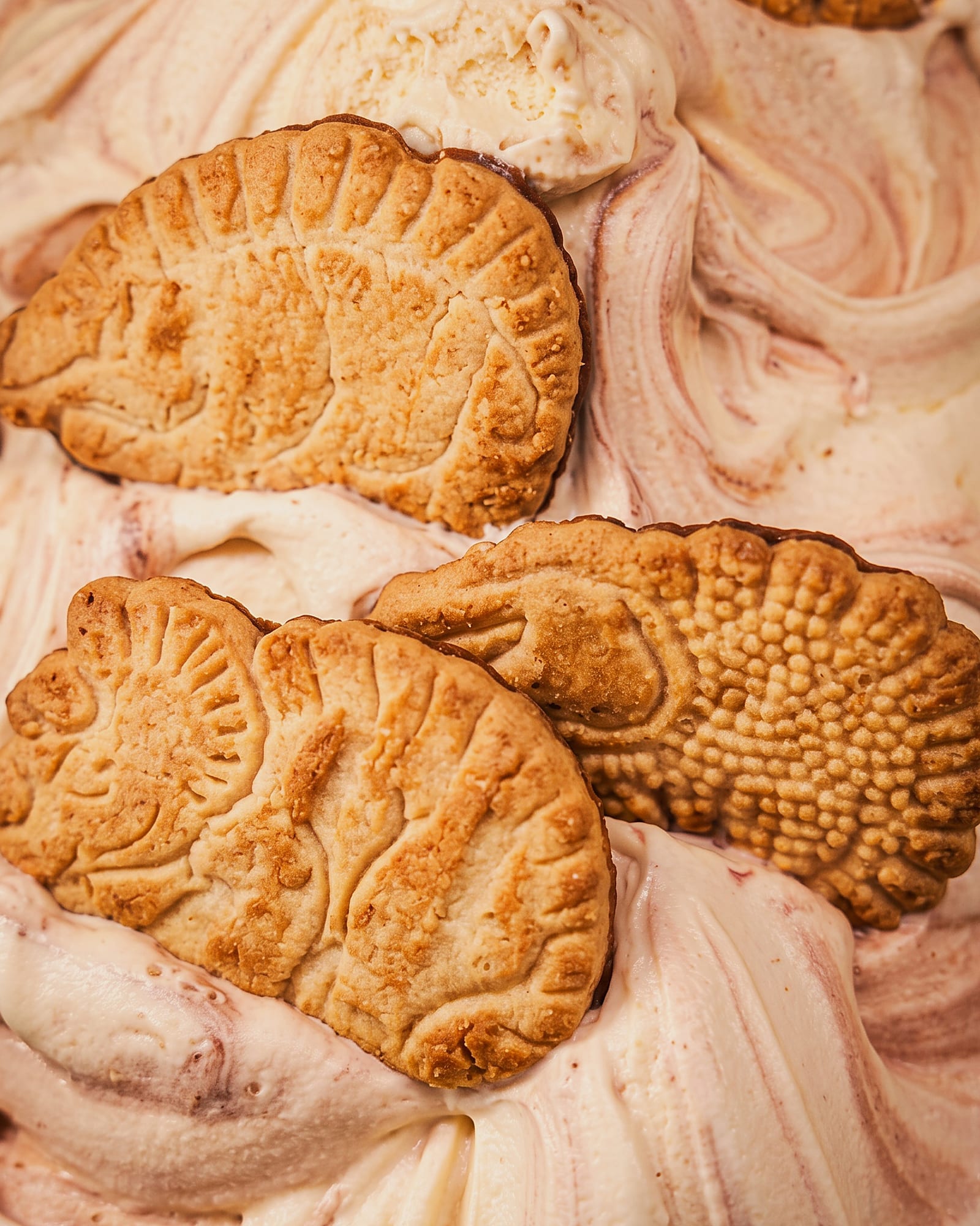 Dinokoeken — close-up van het ijs