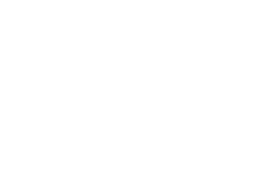 Foubert 15 jaar-badge